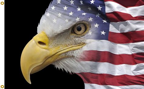 american flag and eagle pictures